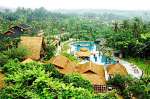 Paradise Rainforest Spa & Resort